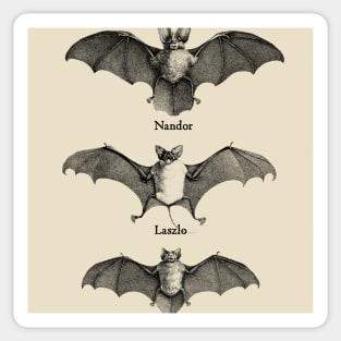 Vintage Vampire Bats Sticker